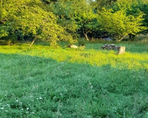 Ładna, uzbrojona działka pod lasem-33a-Wilczopole