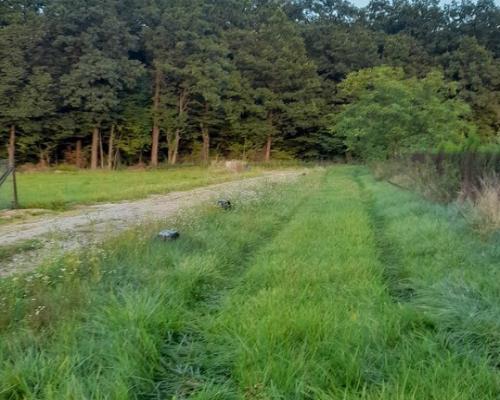 Ładna, uzbrojona działka pod lasem-33a-Wilczopole
