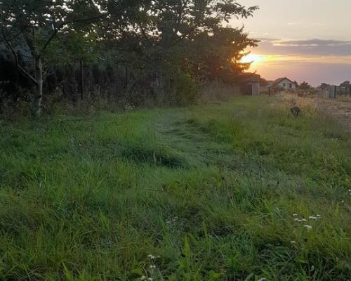 Ładna, uzbrojona działka pod lasem-33a-Wilczopole
