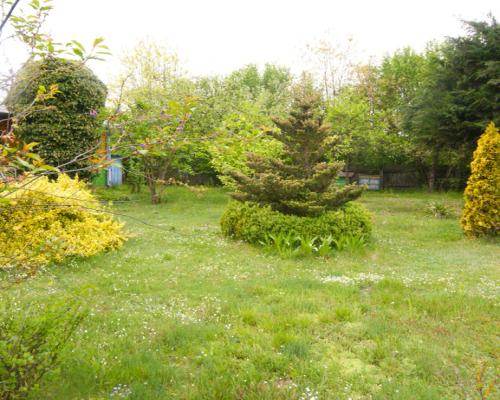 Siedlisko, inwestycja, 1.62ha