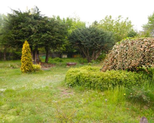 Siedlisko, inwestycja, 1.62ha