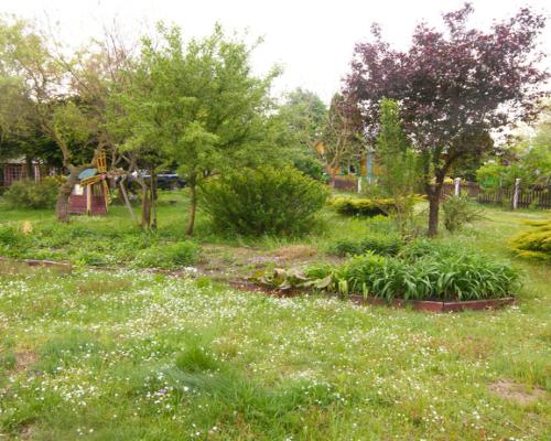 Siedlisko, inwestycja, 1.62ha