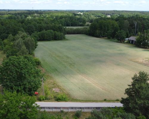 Działka budowlana 3000 m2 w Siekierce gm. Chotcza