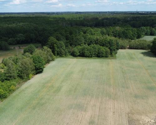 Działka budowlana 3000 m2 w Siekierce gm. Chotcza