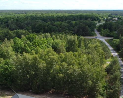 Działka budowlana 3000 m2 w Siekierce gm. Chotcza