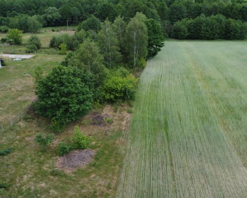 Działka budowlana 3000 m2 w Siekierce gm. Chotcza