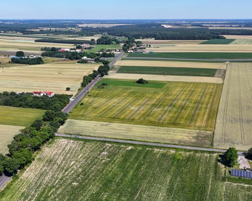 Wilkowiecko | Działki na sprzedaż