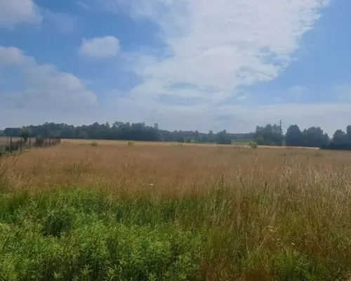 Atrakcyjna działka budowlana Wólka Cycowska.