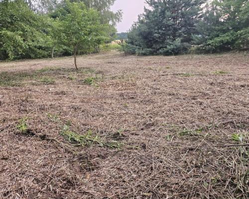Działka rolno-budowlana 1,52 ha Dąbrowa gm. Ludwin