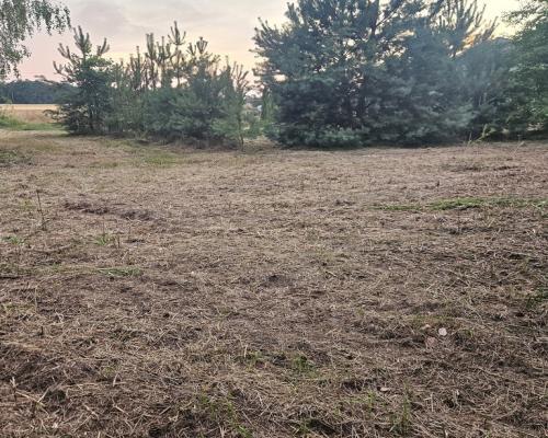 Działka rolno-budowlana 1,52 ha Dąbrowa gm. Ludwin