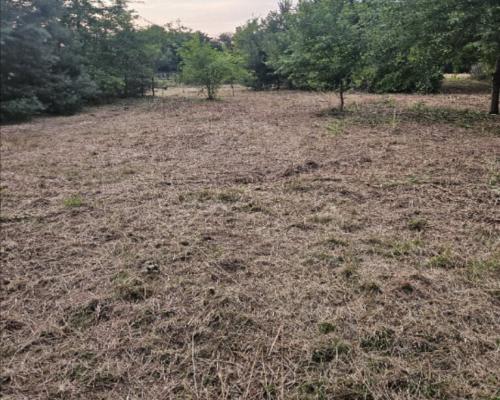 Działka rolno-budowlana 1,52 ha Dąbrowa gm. Ludwin