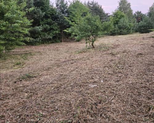 Działka rolno-budowlana 1,52 ha Dąbrowa gm. Ludwin