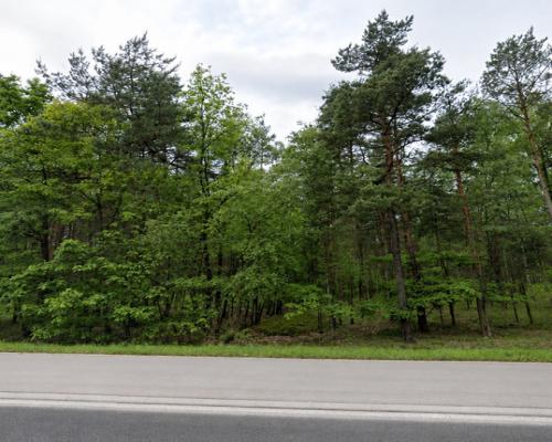 Żarki letnisko, ul. Prosta | Działki na sprzedaż