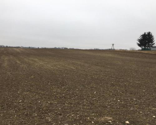 Działka 3000m2 Tomaszowice- Kolonia