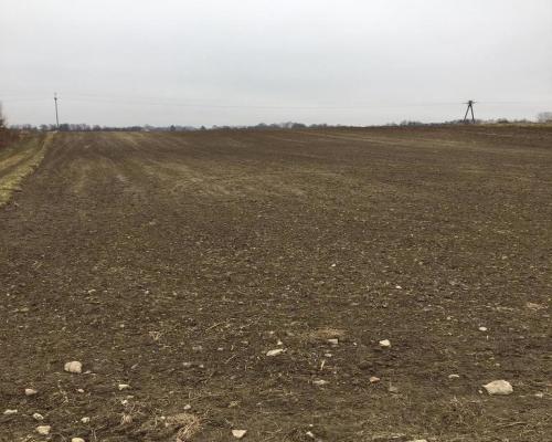 Działka 3000m2 Tomaszowice- Kolonia