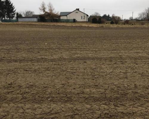 Działka 3000m2 Tomaszowice- Kolonia