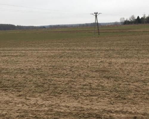 Działka 3000m2 Tomaszowice- Kolonia