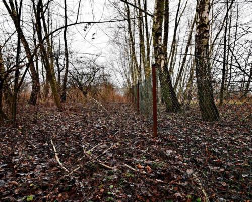 95 arów pod Kazimierzem Dolnym