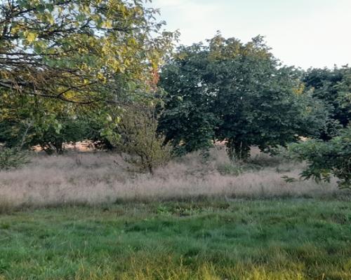 Ładna, uzbrojona działka pod lasem-33a-Wilczopole