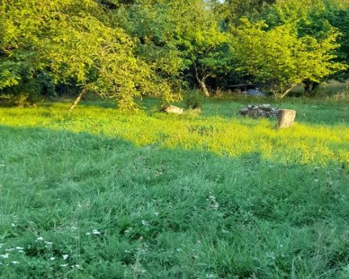 Ładna, uzbrojona działka pod lasem-33a-Wilczopole