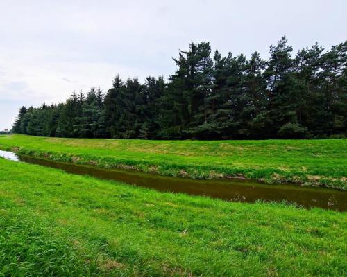 Łąki przy kanale - częściowo pod wydobycie torfu!!