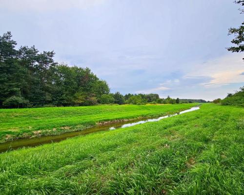 Łąki przy kanale - częściowo pod wydobycie torfu!!