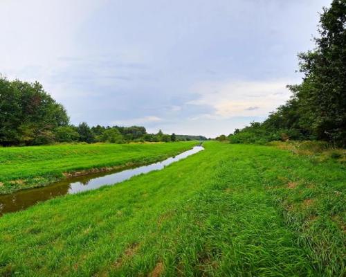 Łąki przy kanale - częściowo pod wydobycie torfu!!