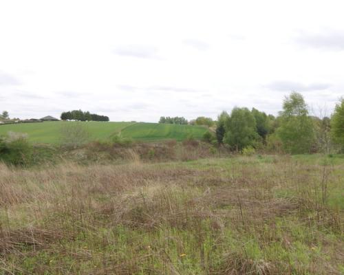 Duża działka rolna ok. 1 ha Jakubowice Konińskie