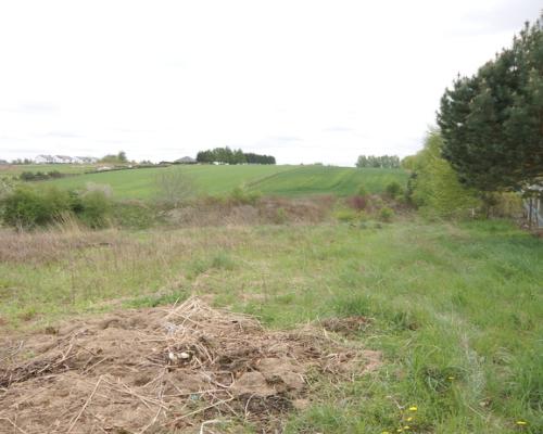 Duża działka rolna ok. 1 ha Jakubowice Konińskie