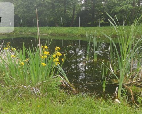 OBNIŻKA !!!Dom nad rzeką dz. 2924 m²  Natura 2000
