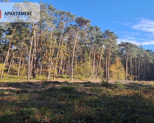 Dom na wsi do remontu z 5,5 ha ziemi.