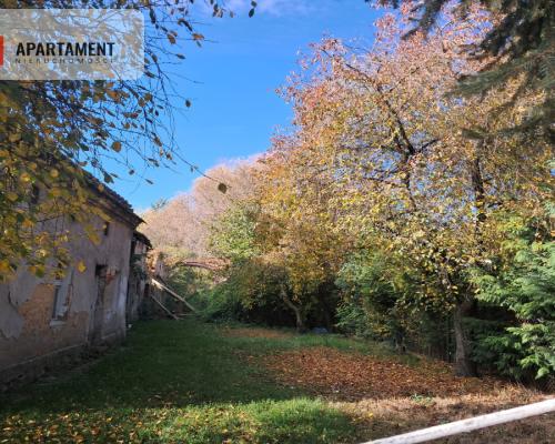 Dom na wsi do remontu z 5,5 ha ziemi.