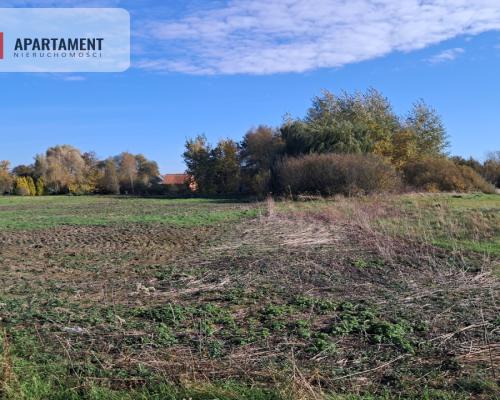 Dom na wsi do remontu z 5,5 ha ziemi.