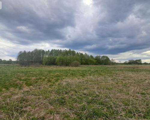 Działka 1,33 ha Nad rzeką WIERZYCA-LIPY-STRUGA!