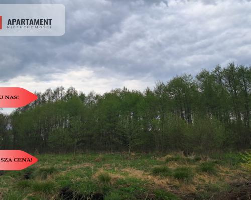 Działka 1,33 ha Nad rzeką WIERZYCA-LIPY-STRUGA!