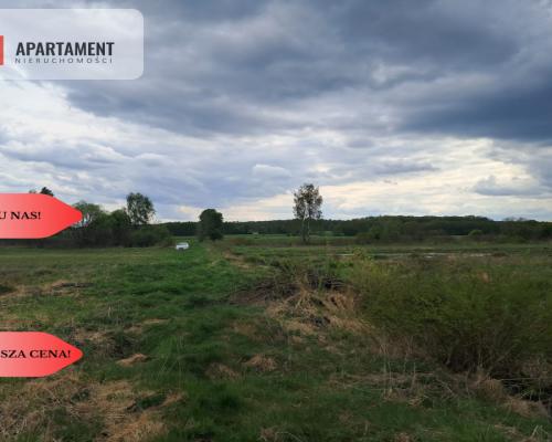 Działka 1,33 ha Nad rzeką WIERZYCA-LIPY-STRUGA!