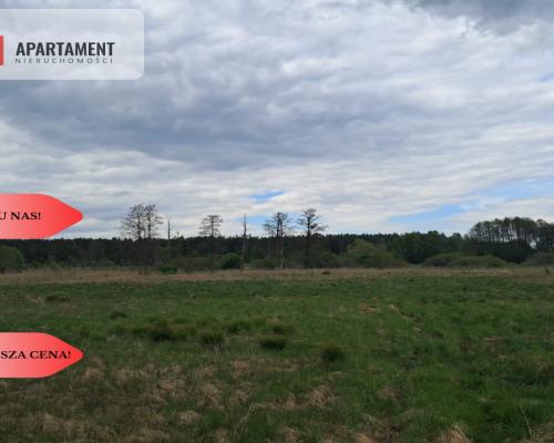 Działka 1,33 ha Nad rzeką WIERZYCA-LIPY-STRUGA!