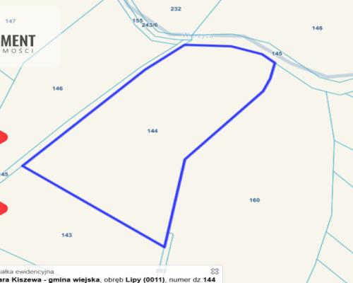 Działka 1,33 ha Nad rzeką WIERZYCA-LIPY-STRUGA!