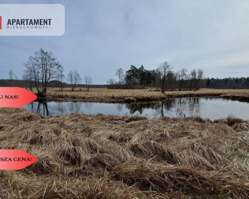 Działka 1,140 ha przy lesie Nad rzeką Wdą-Smolniki