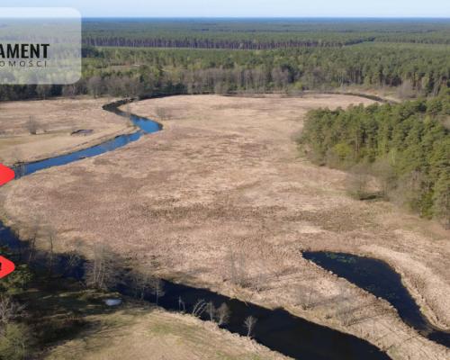 Działka 1,140 ha przy lesie Nad rzeką Wdą-Smolniki