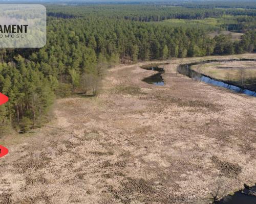 Działka 1,140 ha przy lesie Nad rzeką Wdą-Smolniki