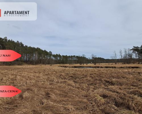 Działka 1,140 ha przy lesie Nad rzeką Wdą-Smolniki
