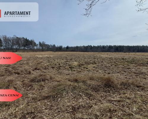 Działka 1,140 ha przy lesie Nad rzeką Wdą-Smolniki