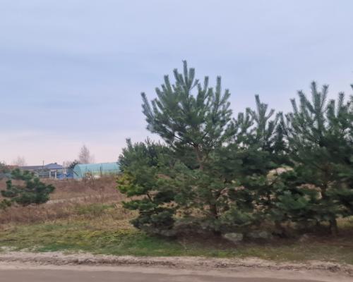 *Działka  z projektem domu ok. Szubina