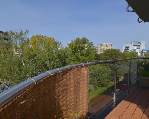 Dwa pokoje z dużą loggią i klimatyzacją, Przyjaźni