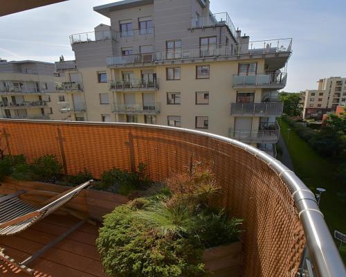 Dwa pokoje z dużą loggią i klimatyzacją, Przyjaźni