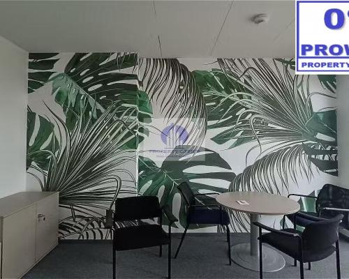 Mokotów: lokal biurowy 465m2 do wynajęcia