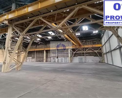Bielany: magazyn 4941 m2 do wynajęcia