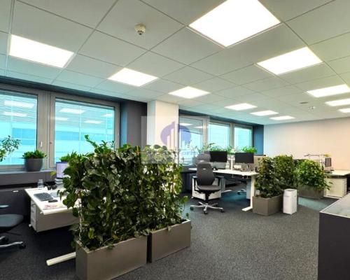 Śródmieście : lokal biurowy 935 m2 do wynajęcia