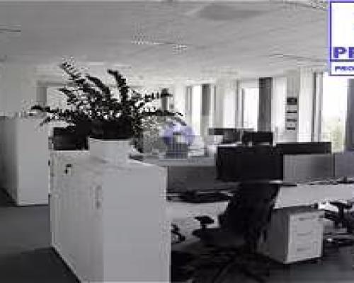 Ursynów : lokal biurowy 1155 m2 do wynajęcia
